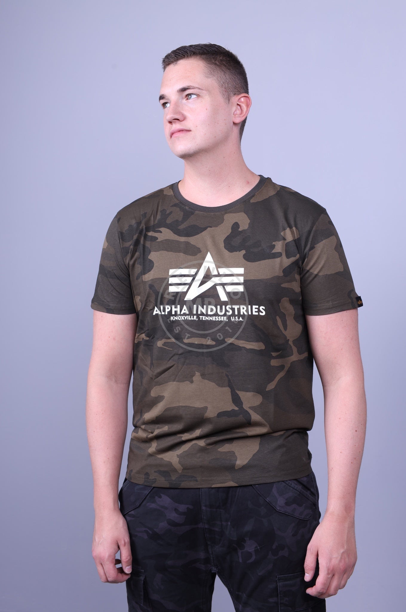 Alpha Industries Basic T-Shirt Olive Camo