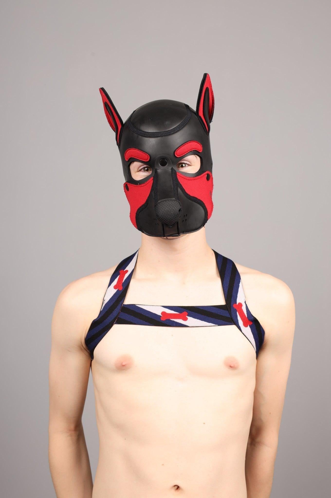 Elastic Harness - PUPPY Flag at MR. Riegillio