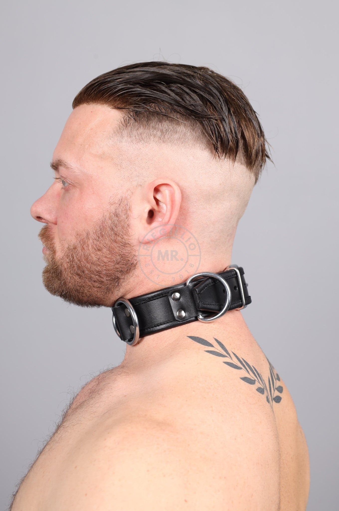 Black Leather Collar 4/D Rings - Full black at MR. Riegillio