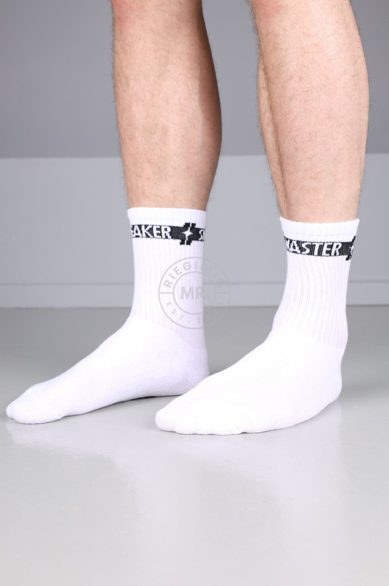 SNKRFTSH SNEAKER MASTER Socks at MR. Riegillio