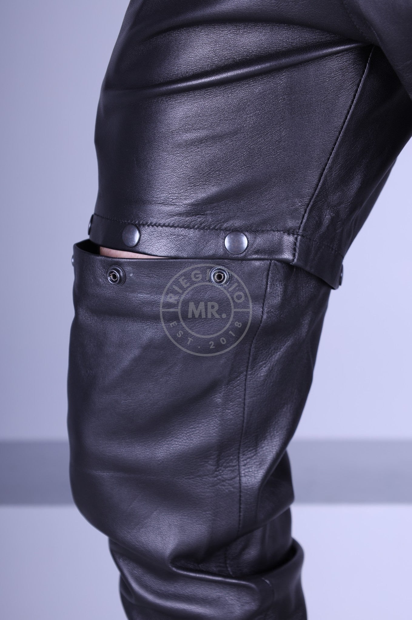 Black Leather Button Down Pants at MR. Riegillio