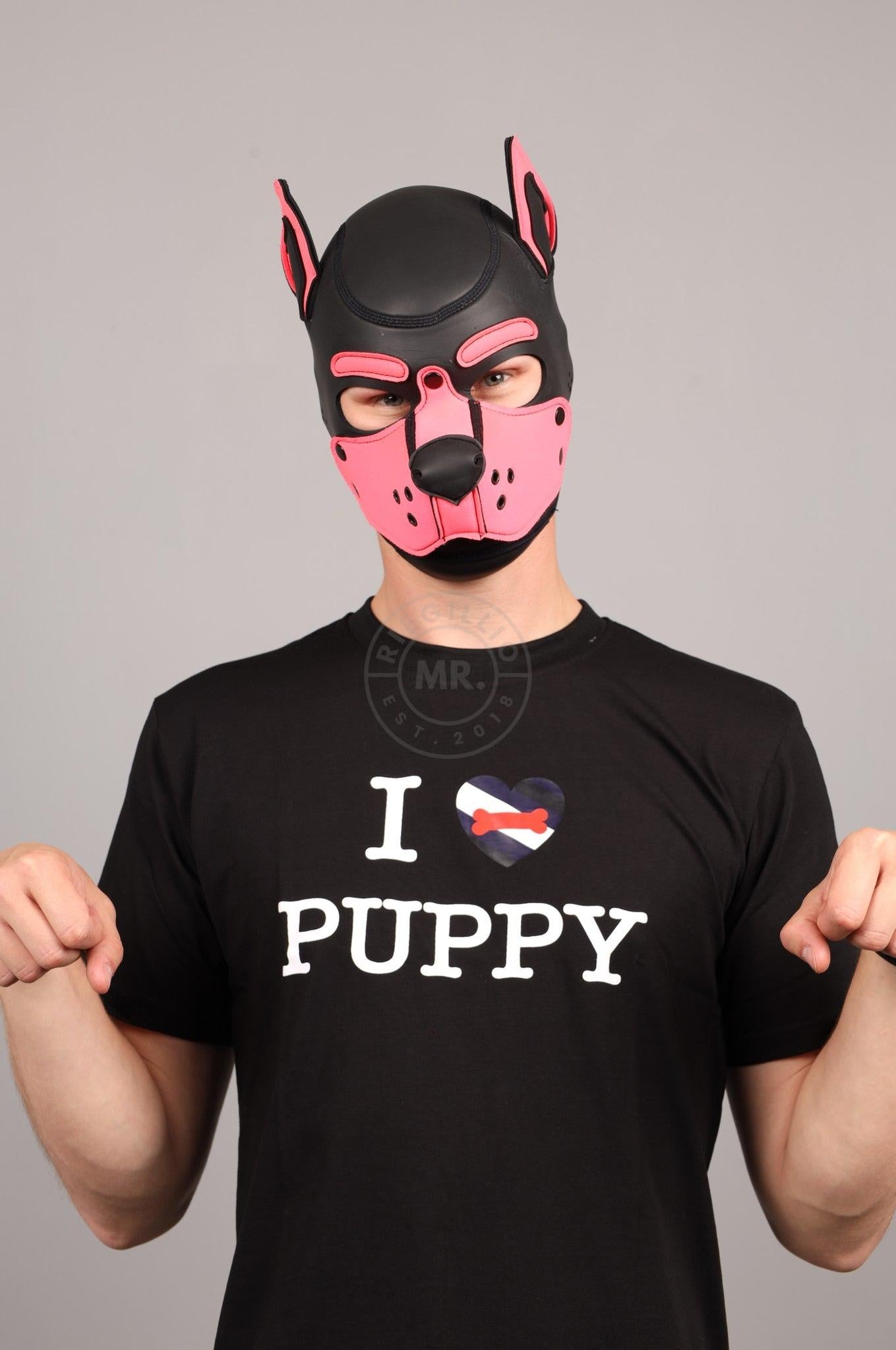 I LOVE PUPPY Souvenir T-Shirt at MR. Riegillio