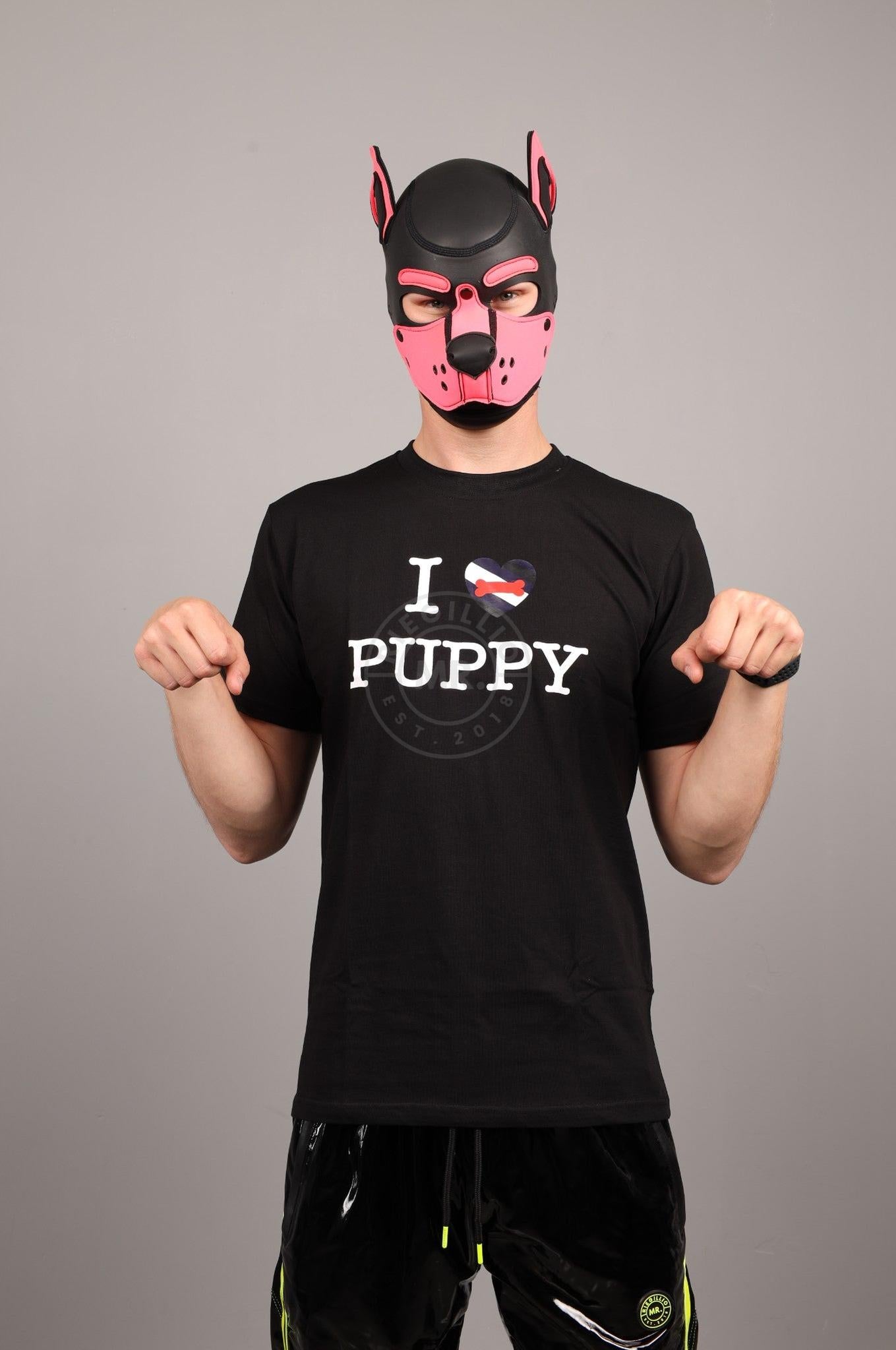 I LOVE PUPPY Souvenir T-Shirt at MR. Riegillio