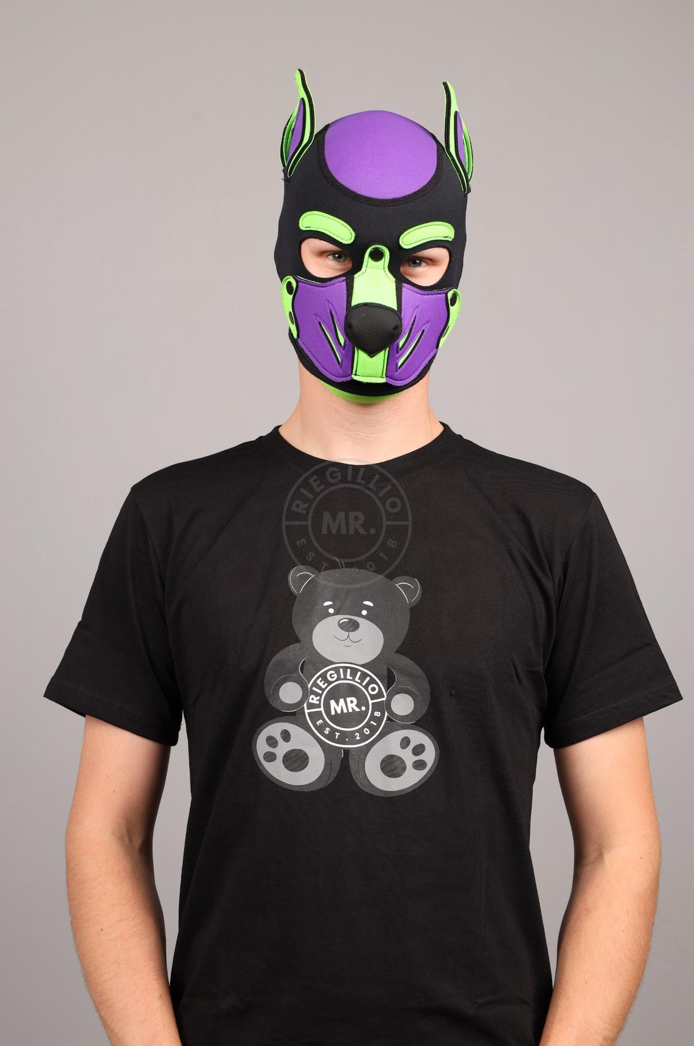 TEDDY BEAR T-Shirt at MR. Riegillio