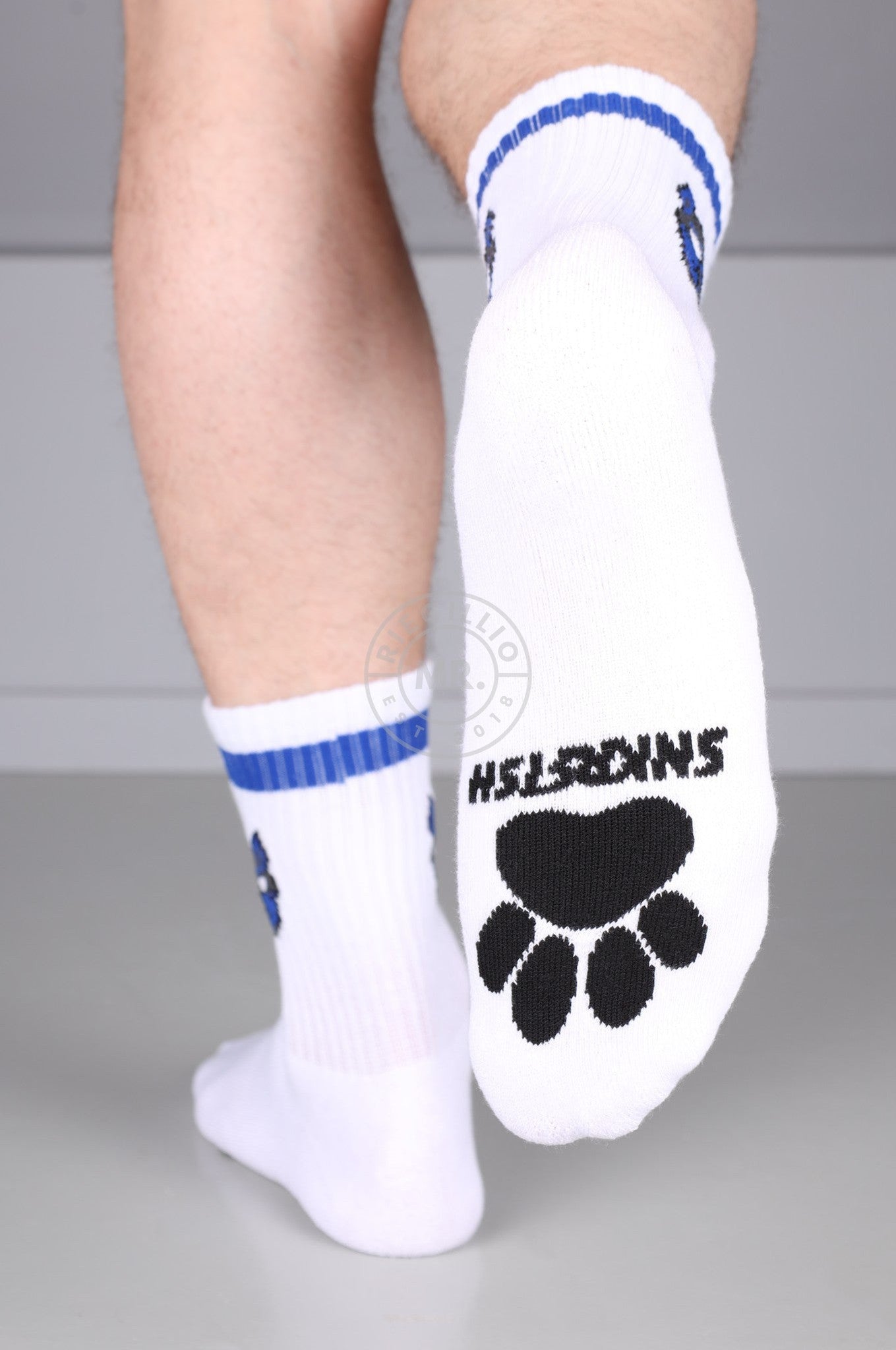 SNKRFTSH PUPPY SOCKS - BLUE at MR. Riegillio