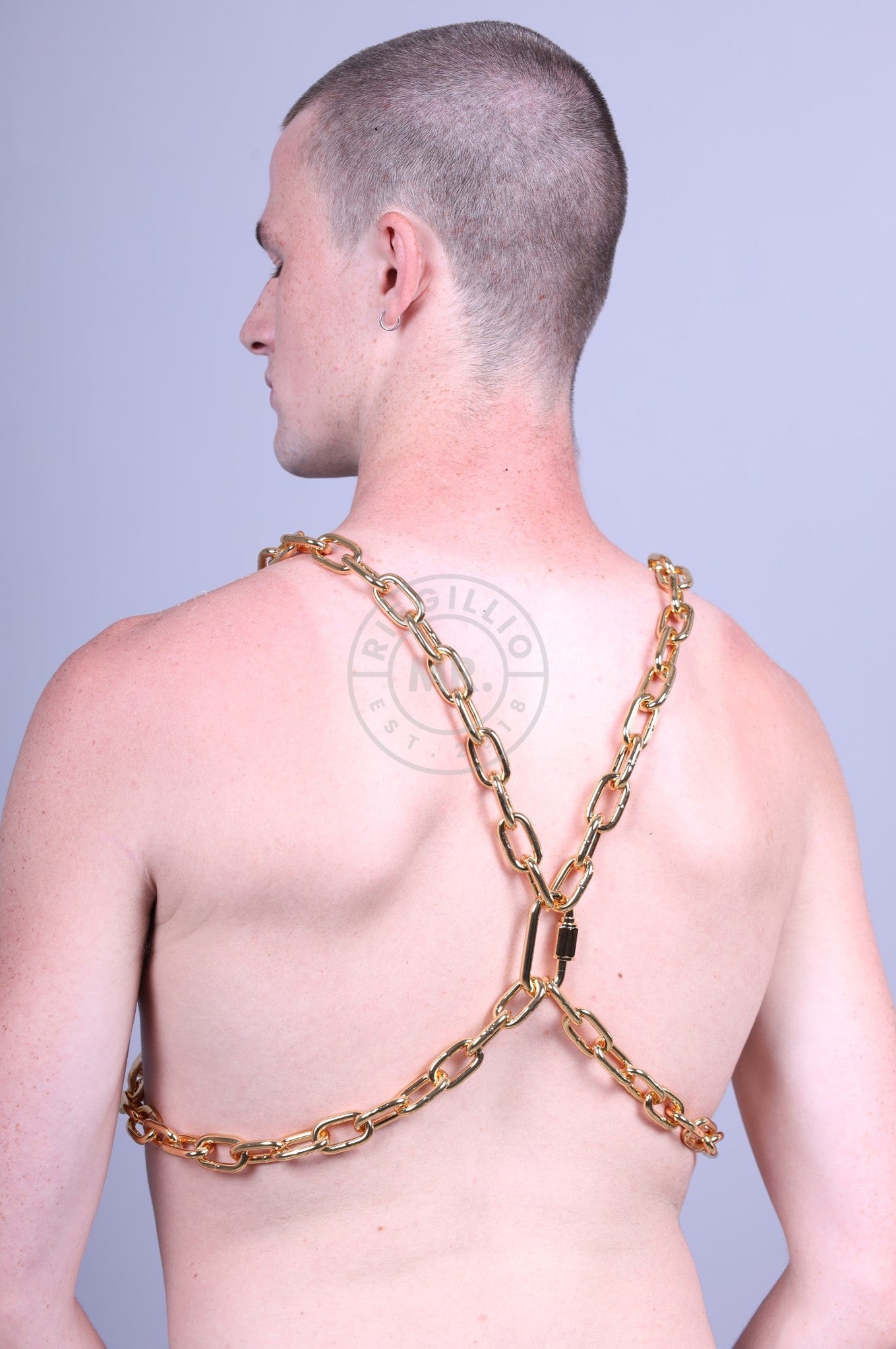 Gabriel Thick Chain Harness-Gold – Marek+Richard