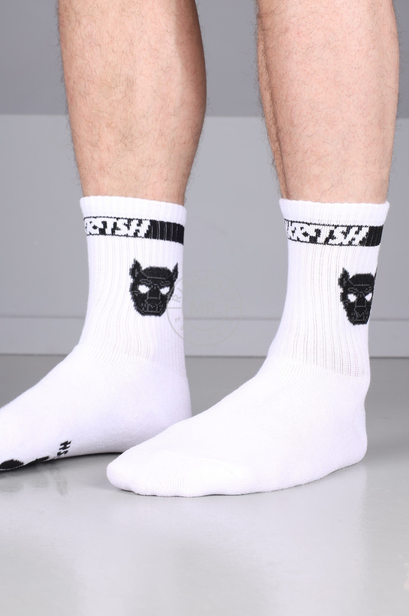 SNKRFTSH PUPPY SOCKS - BLACK at MR. Riegillio