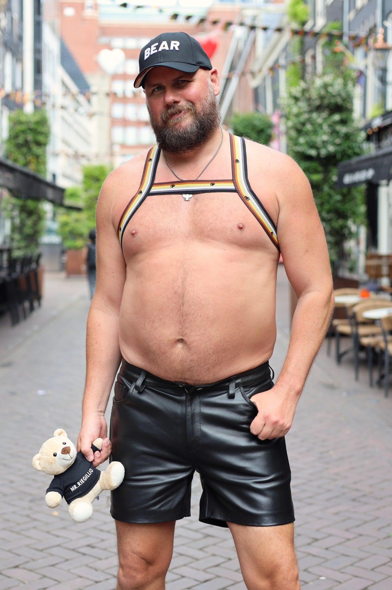 Elastic Harness - BEAR Flag at MR. Riegillio