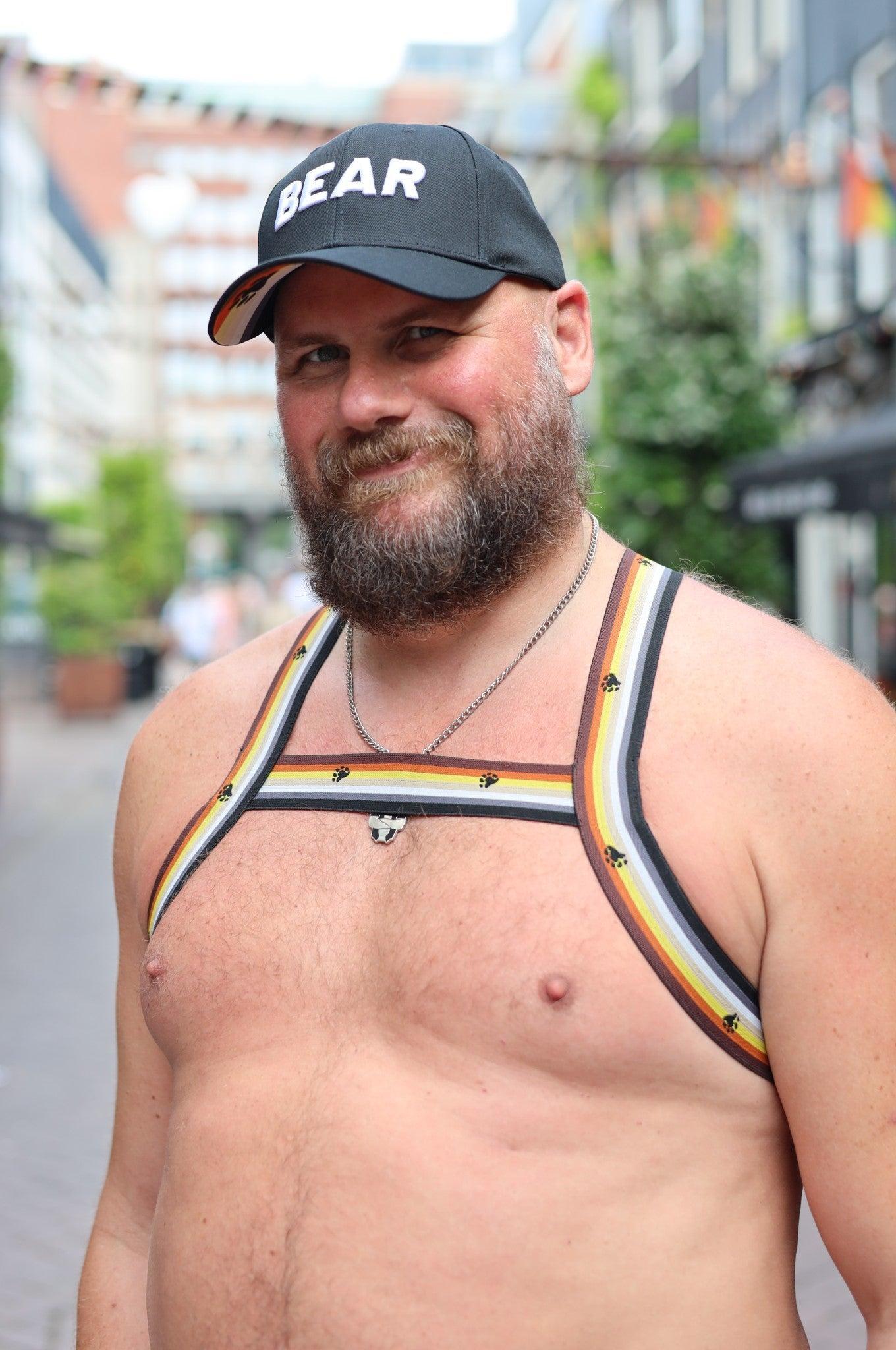 Elastic Harness - BEAR Flag at MR. Riegillio