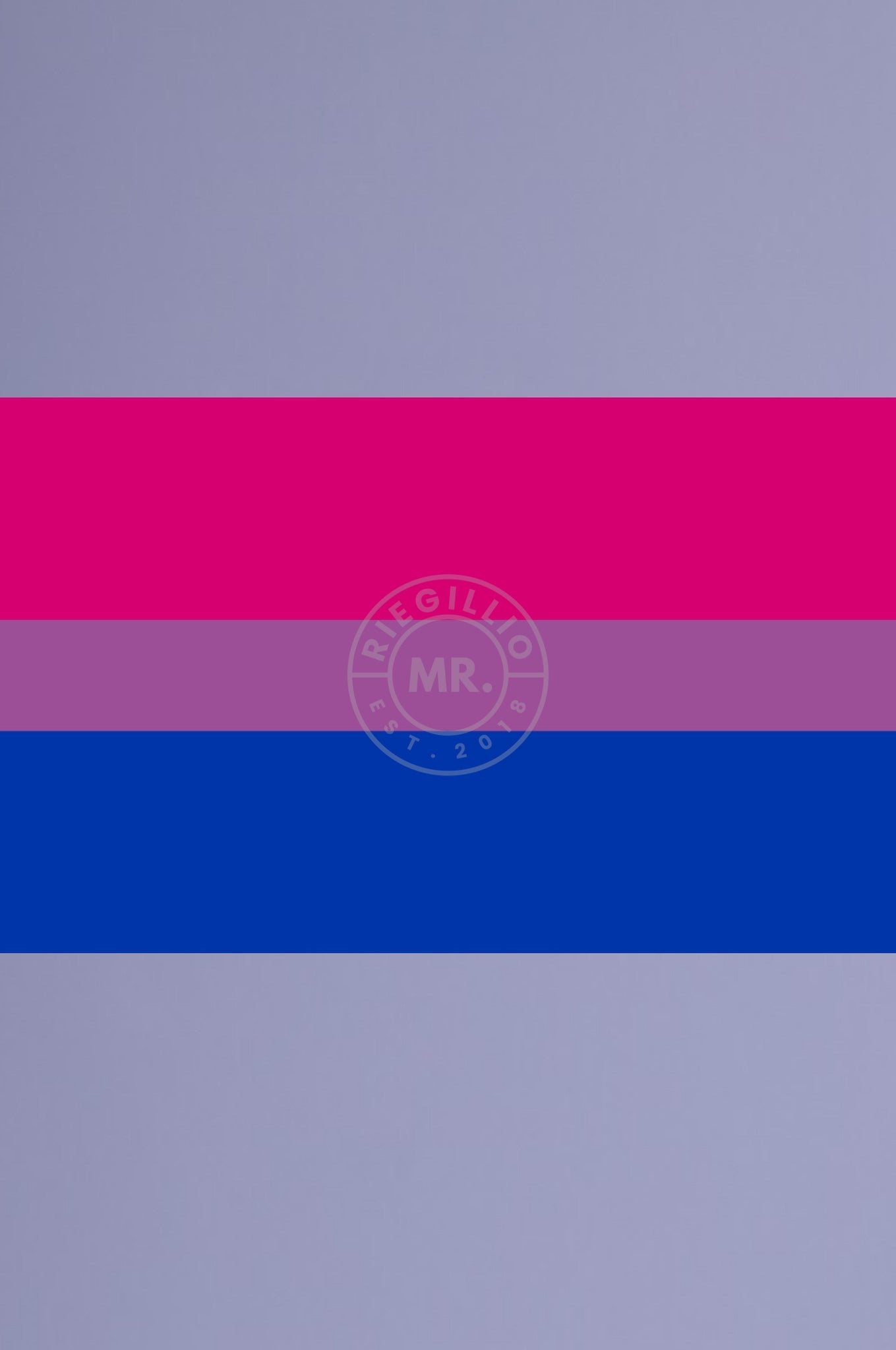 Bisexual Pride Flag 90cm x 150cm at MR. Riegillio