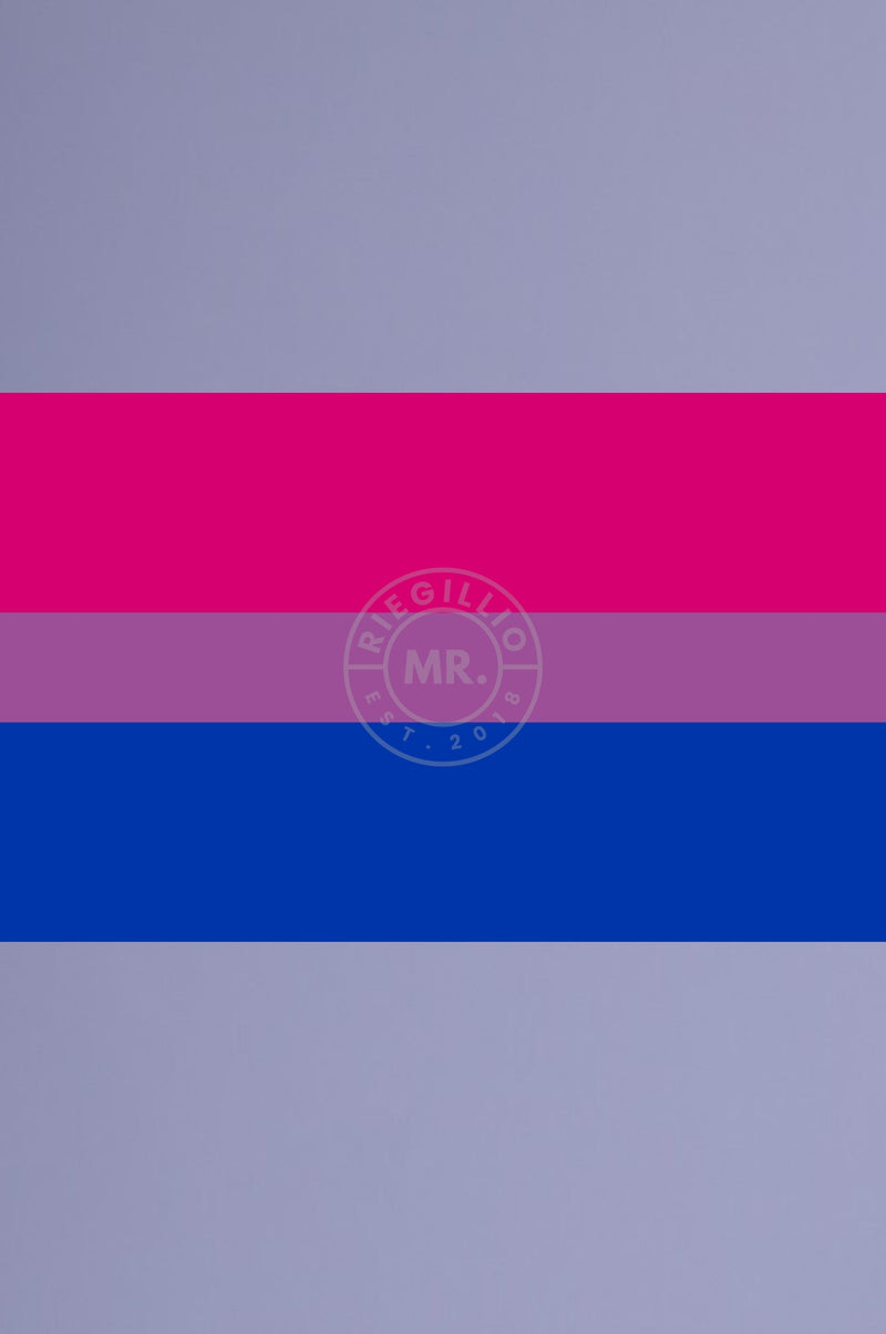 Bisexual Pride Flag 90cm x 150cm at MR. Riegillio