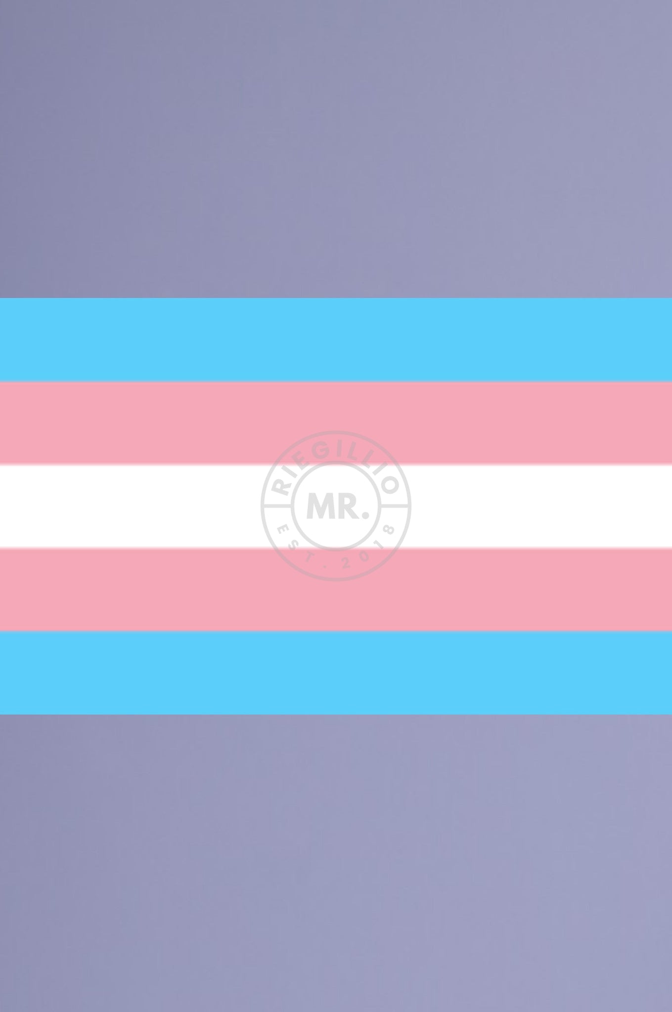 Transgender Pride Flag 90 x 150 cm at MR. Riegillio