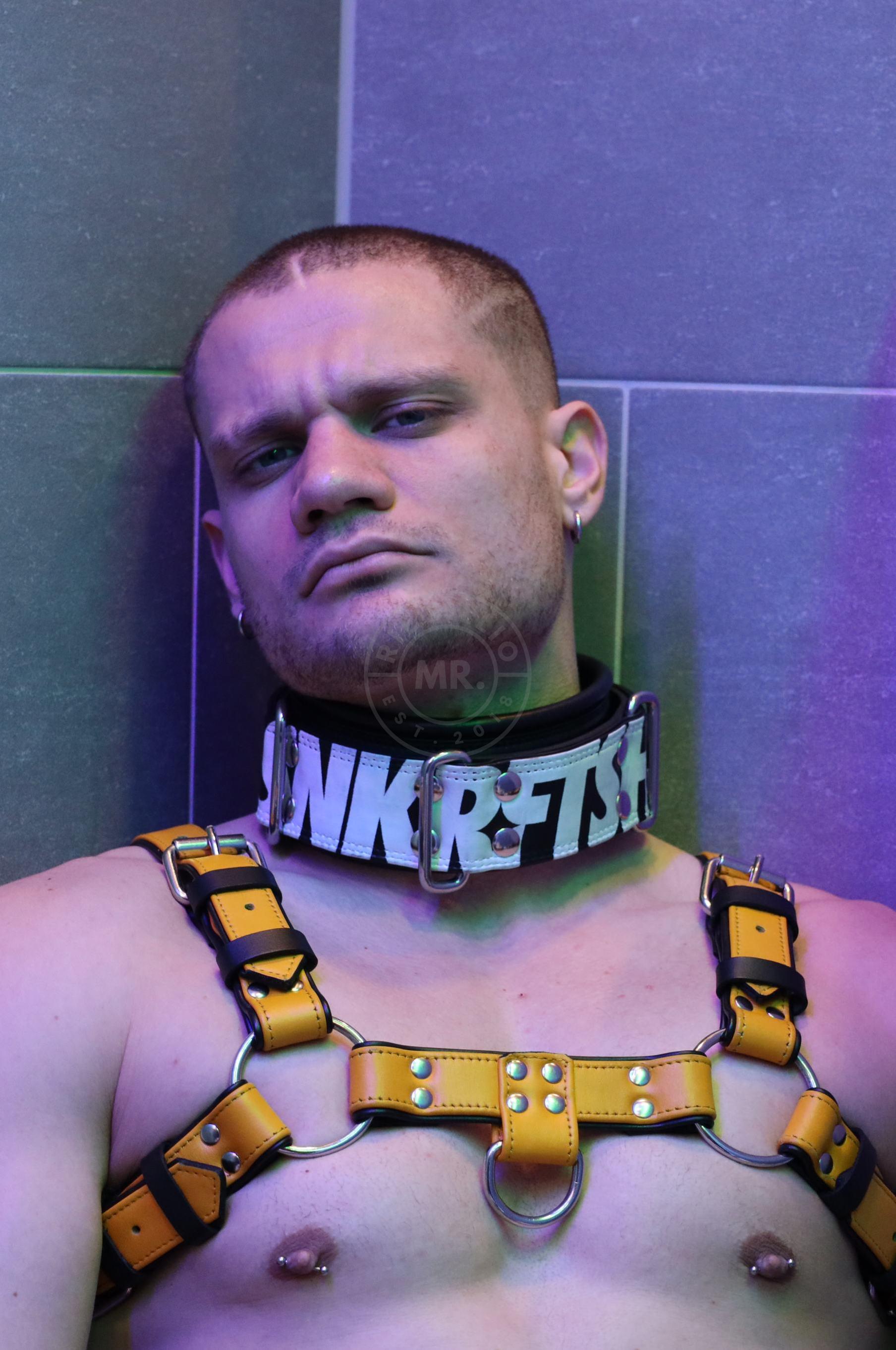 Cuffed Store x SNKRFTSH Neck Leathstraint at MR. Riegillio