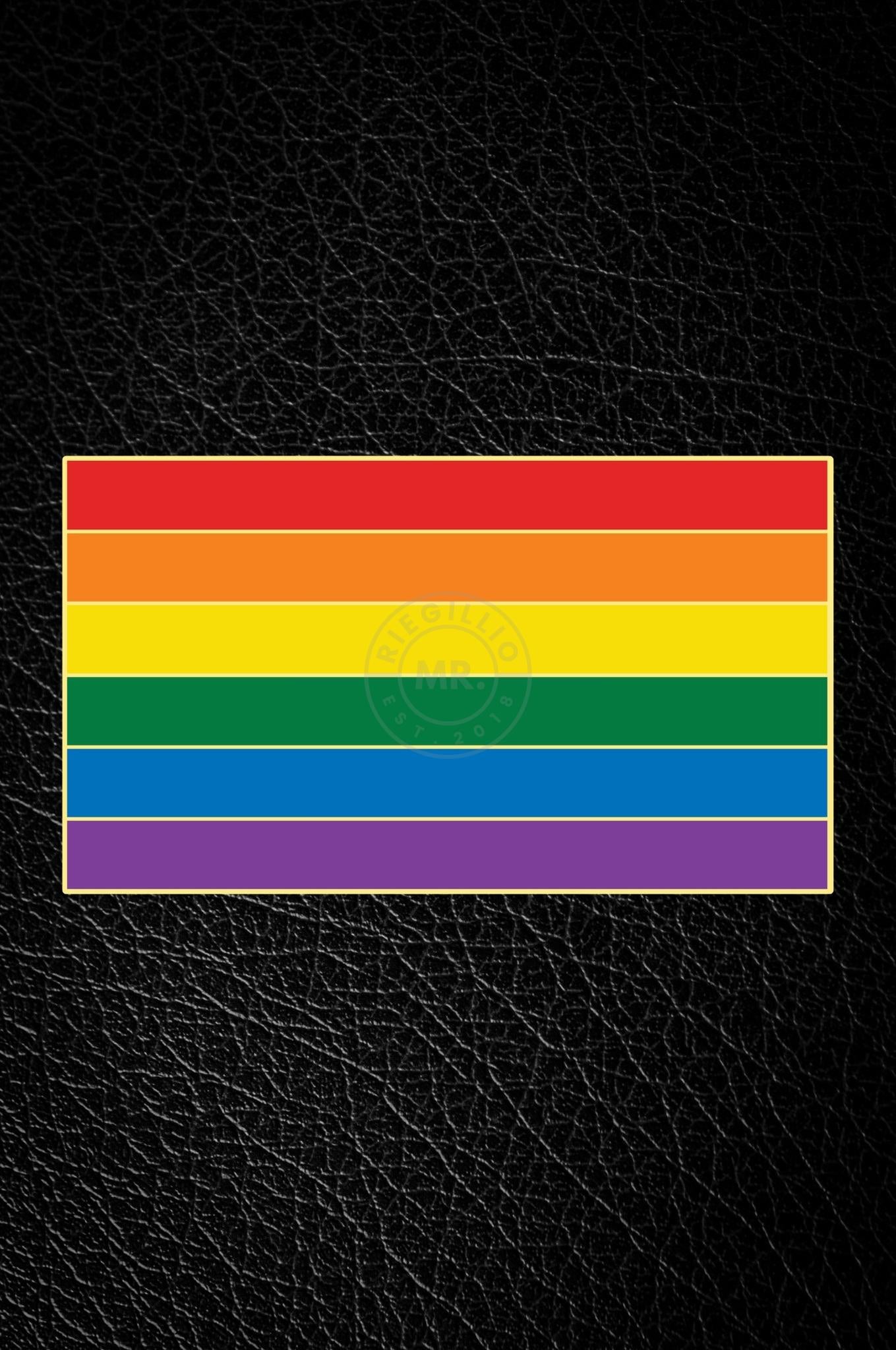 Master of the House Pin - RAINBOW FLAG at MR. Riegillio