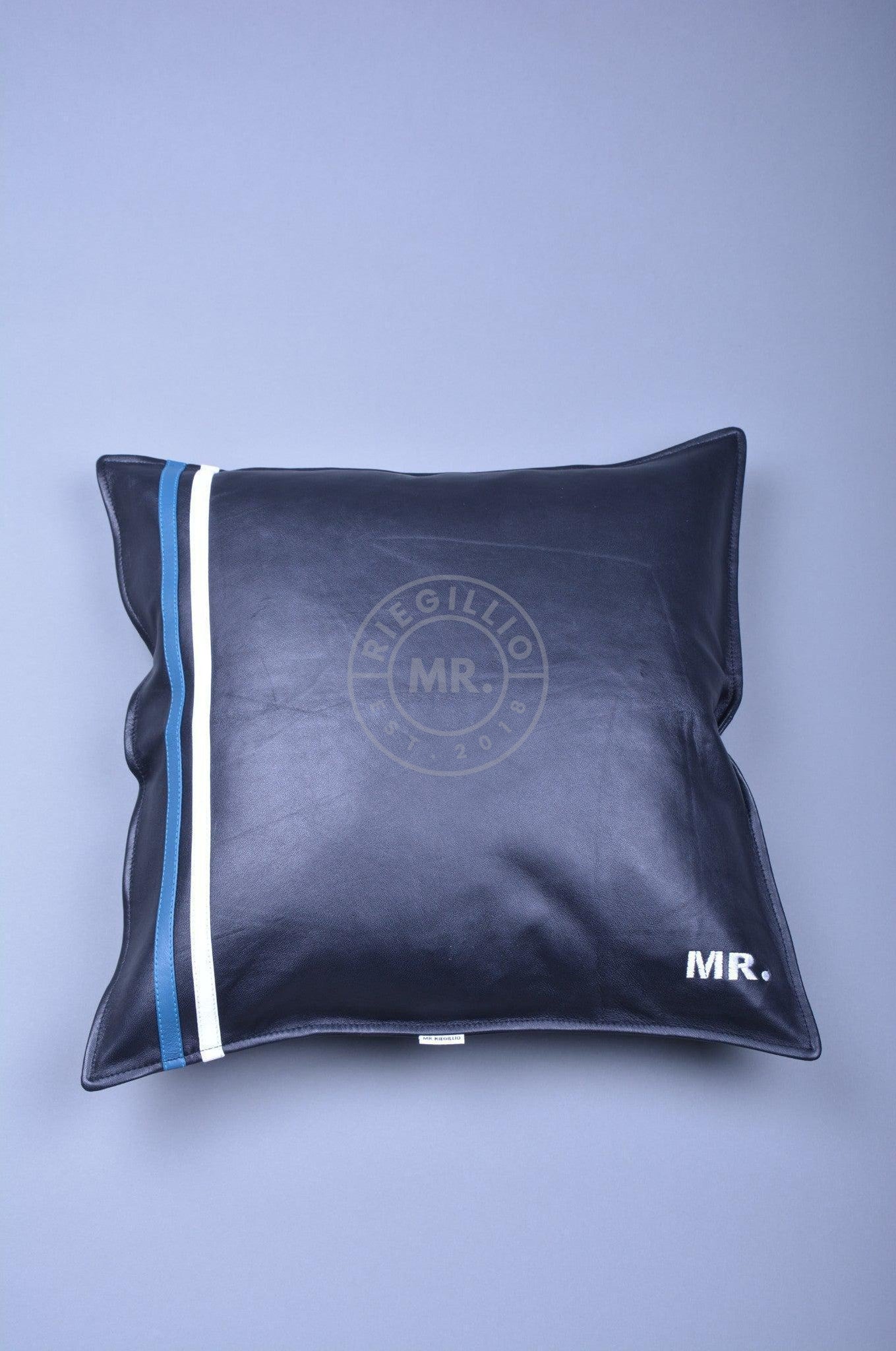 Black Leather Pillow - Jeans Blue Stripe at MR. Riegillio
