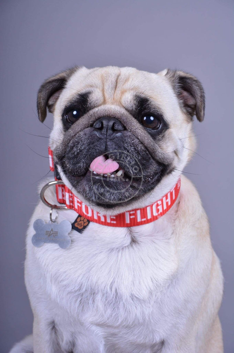 Alpha Industries RBF Dog - Tag Collar - RBF Red at MR. Riegillio
