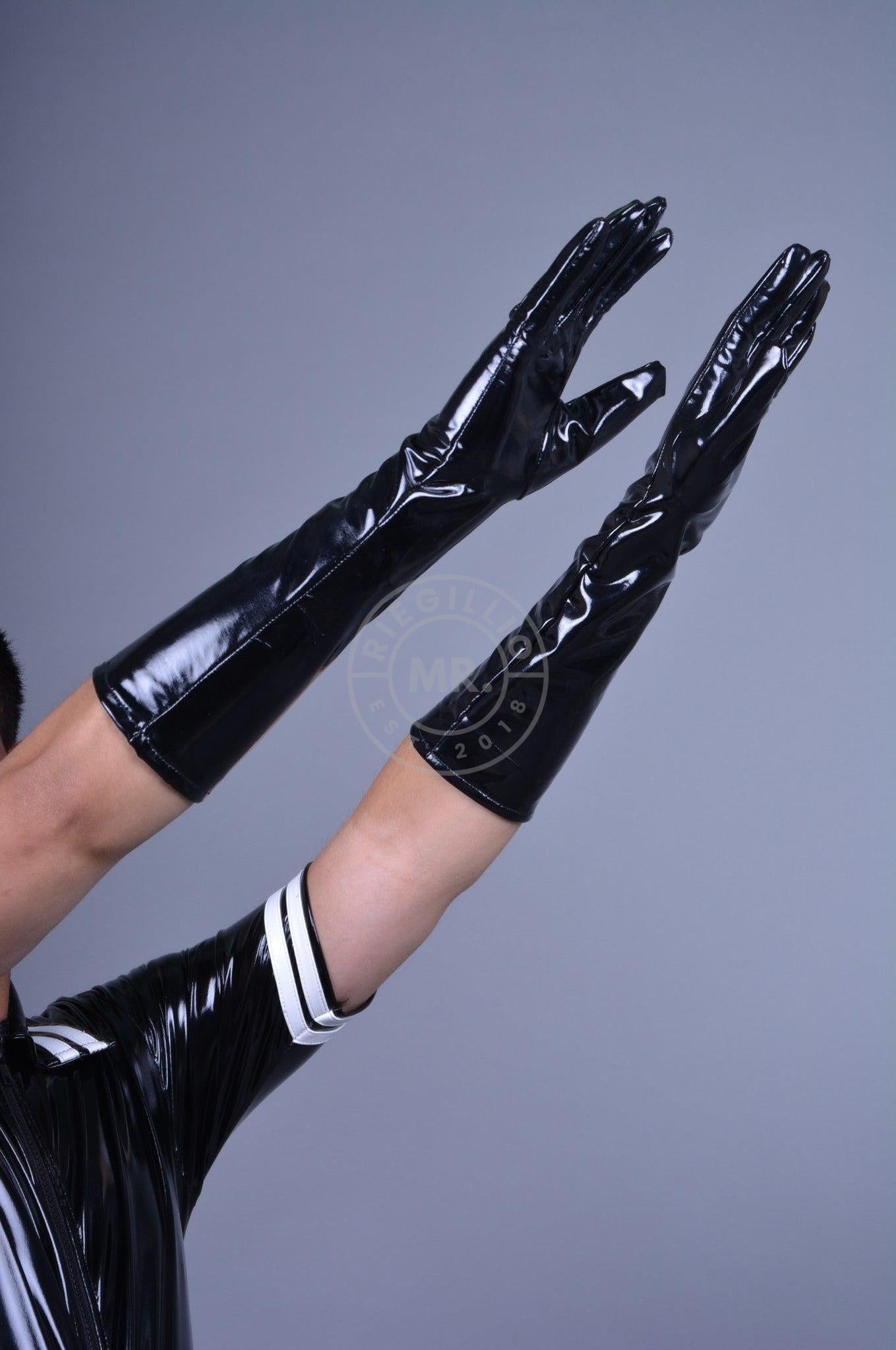 PVC Long Gloves - Black at MR. Riegillio