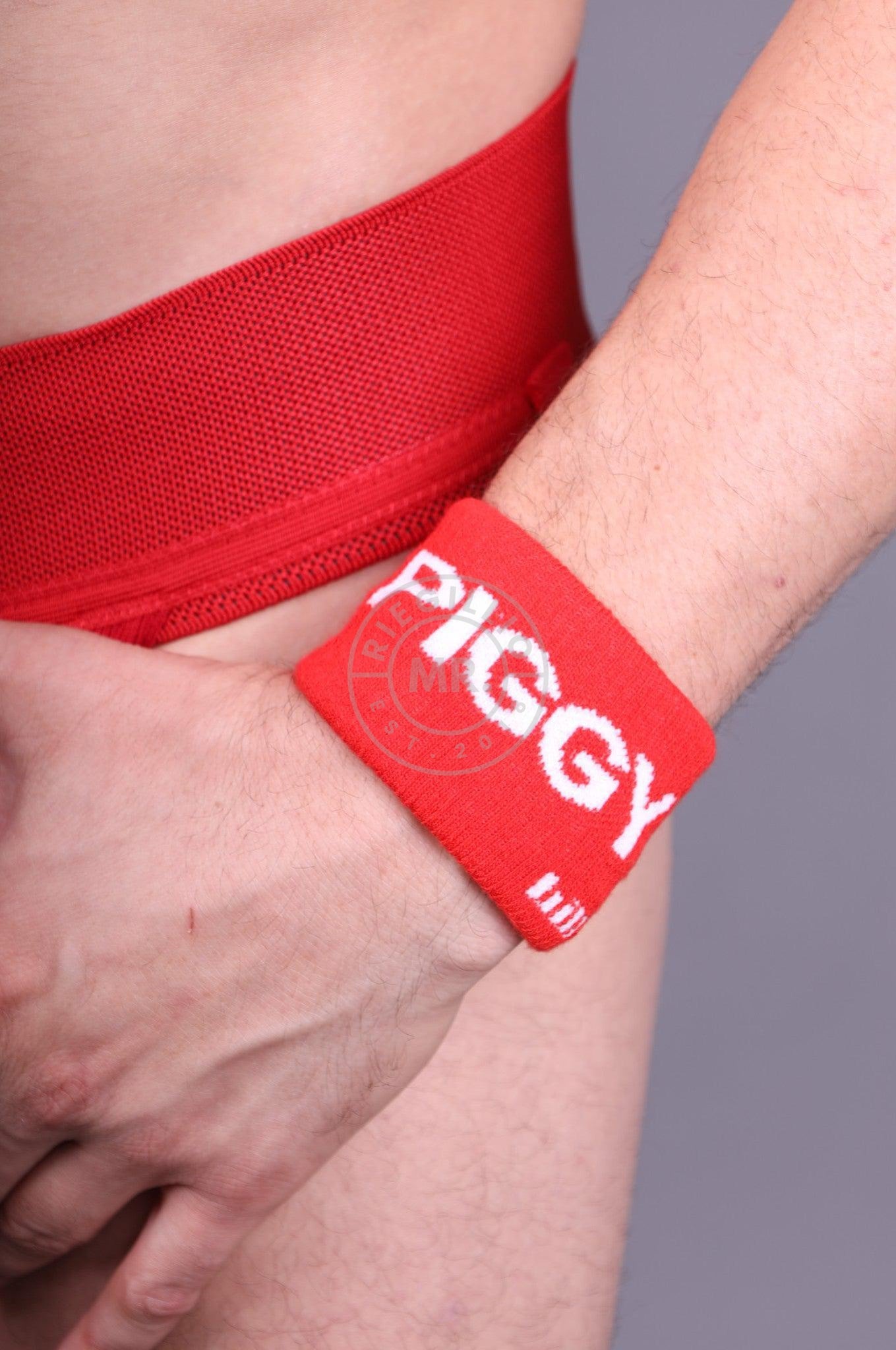 Barcode Identity Wrist Band Piggy at MR. Riegillio
