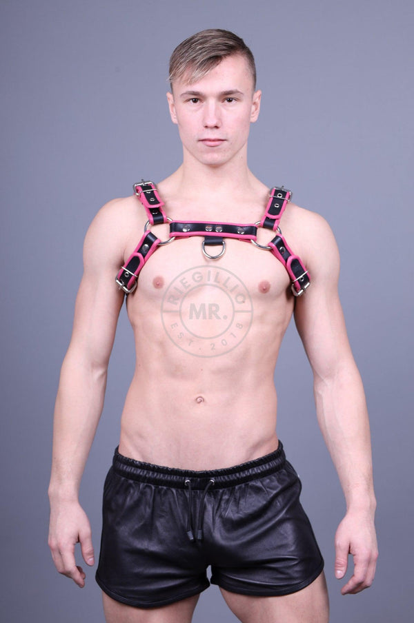 Pink Leather Harness at MR. Riegillio