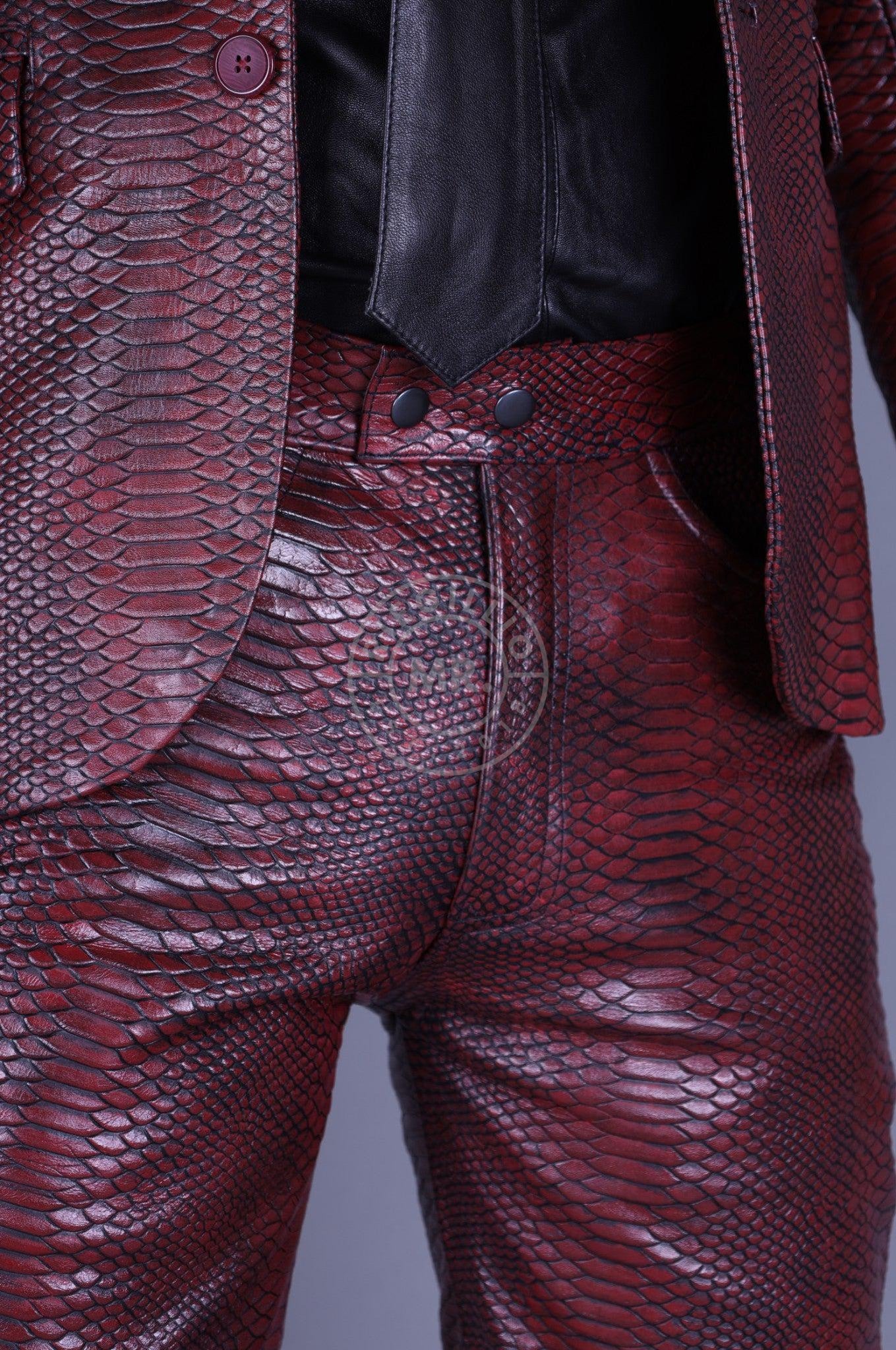 Mehron Leather Snake Pants at MR. Riegillio