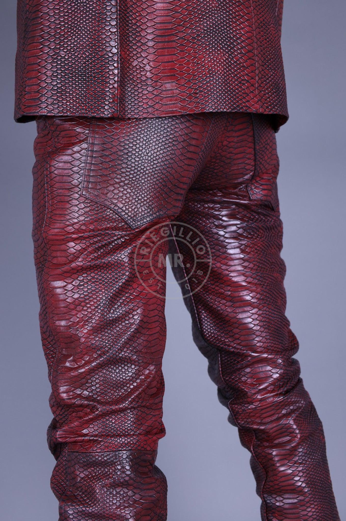 Mehron Leather Snake Pants at MR. Riegillio